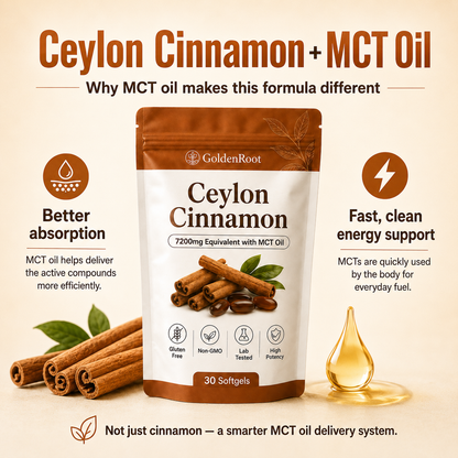 GoldenRoot Ceylon Cinnamon 7200mg Equivalent with MCT Oil